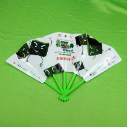 Chinese Plastic Fan